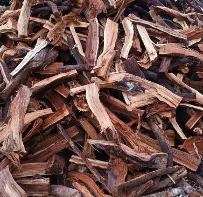 كل ما تحتاج معرفته عن حطب السمر