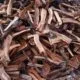 كل ما تحتاج معرفته عن حطب السمر